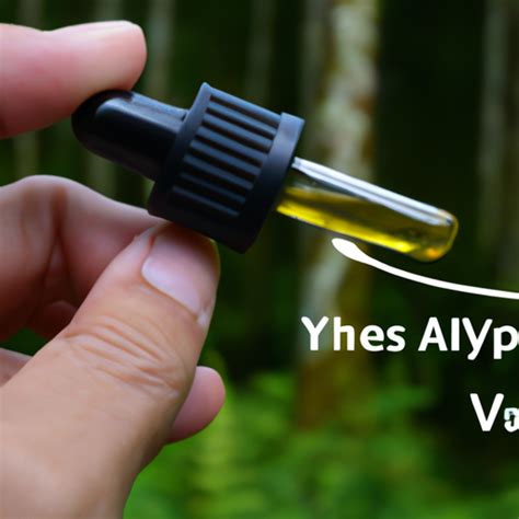 Essential Oils Protocol For Lyme Disease Aromatherapy Naturals