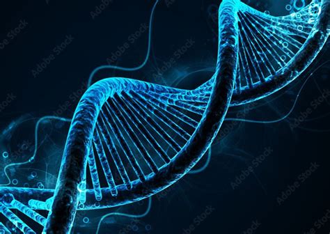Whole Genome Sequencing Improves Diagnosis Of Rare Diseases And