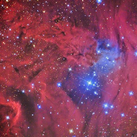 Fox Fur Nebula And Cone Nebula In Monoceros