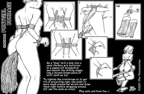 Rule 34 2001 Anal Tail Bondage Buttplug Crotch Rope Diagram How To Monochrome Nipples Nude