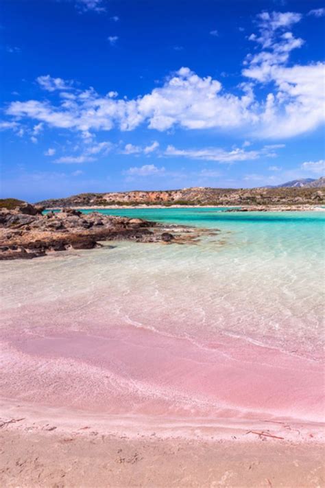 Elafonissi Pink Sand Beach Crete Greece In 2020 Greece Holiday