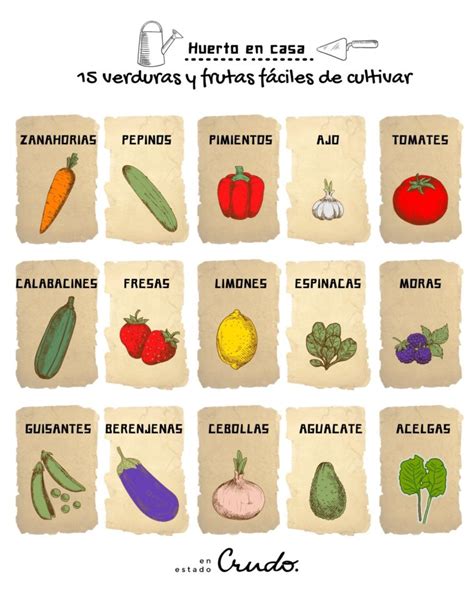 15 Verduras Y Frutas Que Puedes Cultivar En Casa Fácilmente