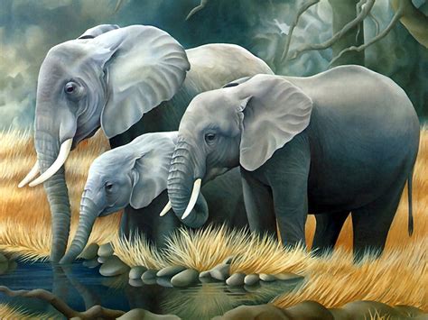 familia de elefantes hd fondoswikicom