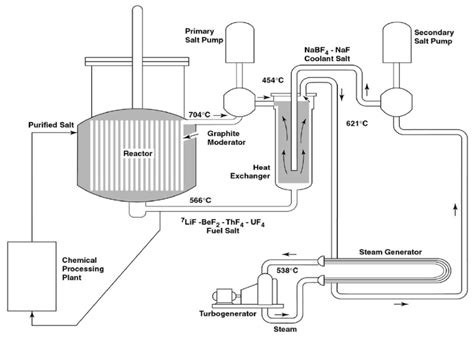 Plant Layout Of The Single Fluid Molten Salt Breeder Reactor Msbr Download Scientific