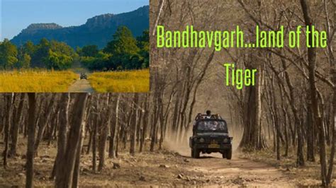 Bandhavgarh The Tiger Land Part 2 Khitauli Zone A Must Watch
