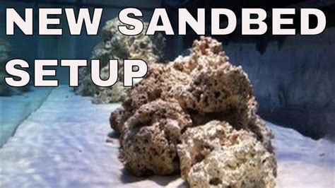 Deep Or Shallow Sand Bed In A Saltwater Aquarium