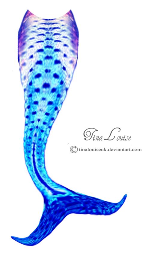 Mermaid Tail Clipart - To explore more similar hd image on pngitem. - Kremi Png