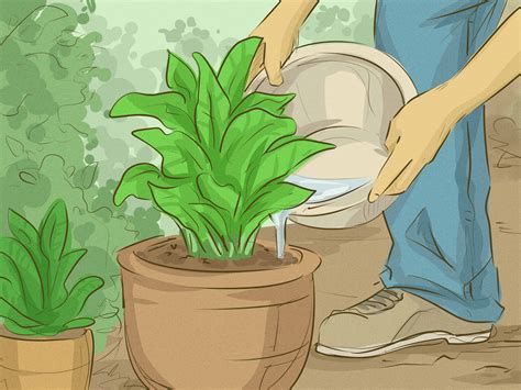 There are plenty of little steps that people can take at home to help save the environment. How to Save Water in the Laundry Room: 8 Steps (with Pictures)