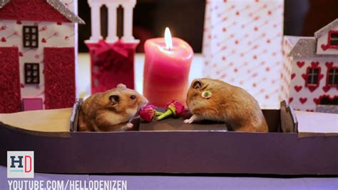 Photos Tiny Hamsters Bring The Romance With Adorably Tiny Valentines