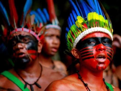 Quais As Principais Tribos Indígenas Indios Brasileiros Povos