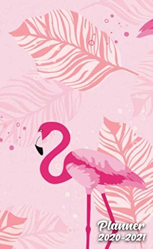 Planner 2020 2021 Nifty Flamingo Two Year 24 Months Monthly Pocket Planner And Schedule Agenda