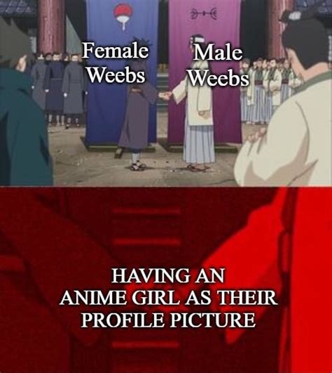 Female Male Weebs Weebs Having An Anime Girl As Their Profile Picture