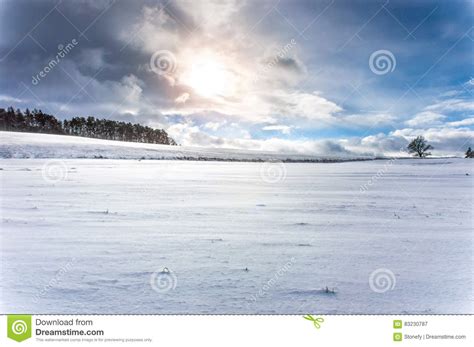 A Barren Snow Covered Land With A Few Trees Seen Here And There Stock
