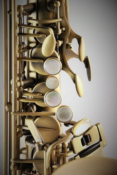 Rw Pro Series Alto Saxophone Vintage Robertos Winds