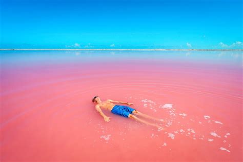 Swimming In The Pink Lake Lake Hillier Chichen Itza Mexico Pink Lake