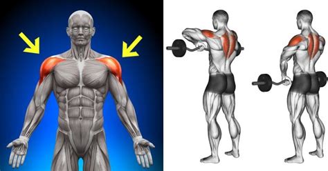 6 Most Effective Exercises For Building Massive Shoulders