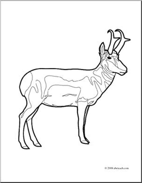 Pronghorn antelope are native to california and are an important species economically and culturally to citizens of the state. Clip Art: Pronghorn (coloring page) I abcteach.com | abcteach