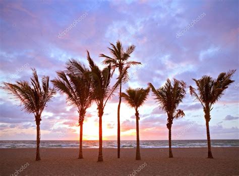 Miami Beach Florida Verano Colorido Amanecer O Puesta De Sol Con