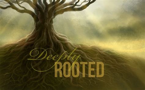 Deeply Rooted Conejo Church