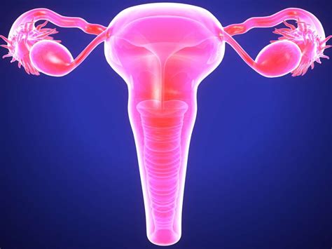 Cervical Endometriosis Symptoms Diagnosis And Complications