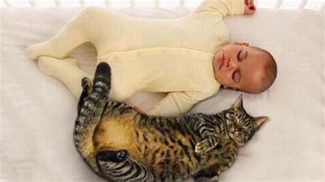 Cats And Babies Are Best Friends Cute Baby And Cat Compilation 🐱 ️ Part