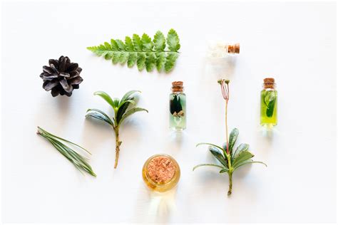 A Guide to Jojoba Oil Cleansing: Is It Really That Good For Your Skin