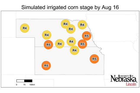 2022 Corn Yield Forecasts As Of Aug 16 CropWatch University Of