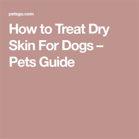 How To Treat Dry Skin For Dogs Pets Guide Dog Dry Skin Treating