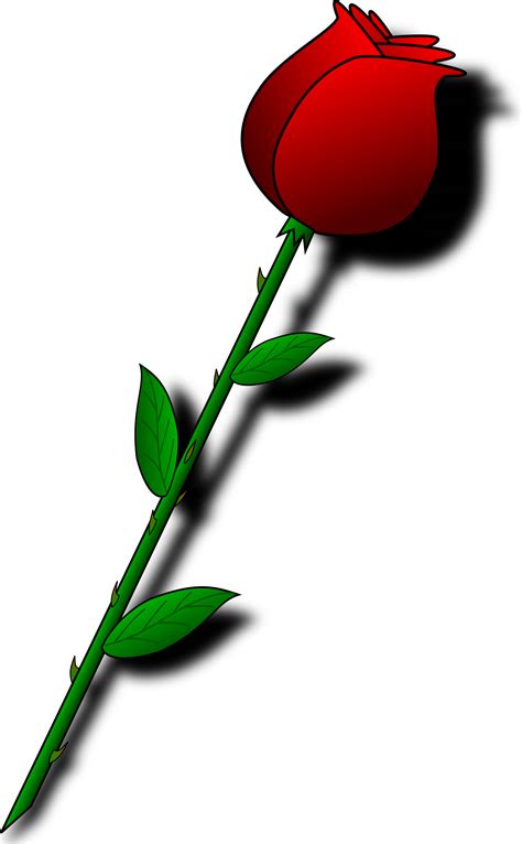Clipart Rose Animated Clipart Rose Animated Transparent Free For