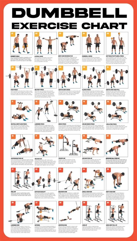 Printable Dumbbell Exercise Chart Dumbbell Workout Workout Chart