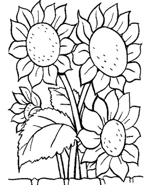 Sunflower coloring pages for adults. Kids Fall Printable Coloring Pages - Colorings.net
