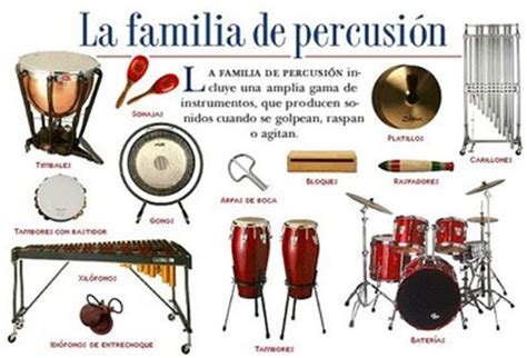 Las maracas son un instrumento de percusión con origen en la música latina. Instrumentos de percusión | En Clave de Niños