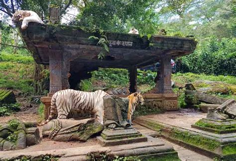 Sejarah Taman Safari Indonesia Bogor