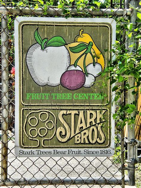 Stark Bros Via Flickr Deep Rooted Fruit Trees Stark Bros Flickr