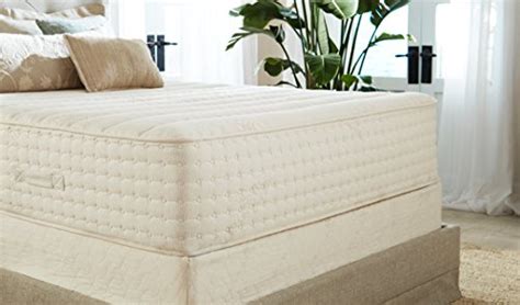 This is an organic latex bed. PlushBeds 12" Luxury Bliss Medium Natural Latex Mattress ...
