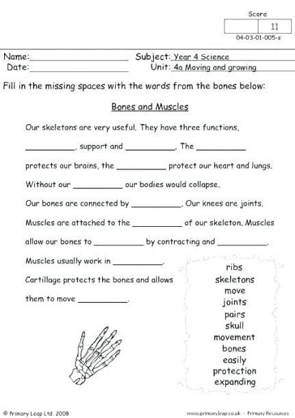 3rd Grade Health Worksheets