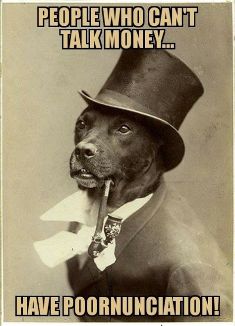 Funny Animal Photos Dog Photos Funny Pictures Old Money Dog Dog