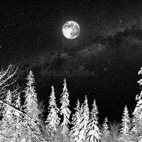 830 Winter Scenery Full Moon Photos Free And Royalty Free Stock Photos
