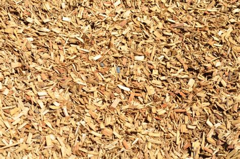 This is unfounded and unlikely. Eucalyptus Mulch | Parklea Sand and Soil