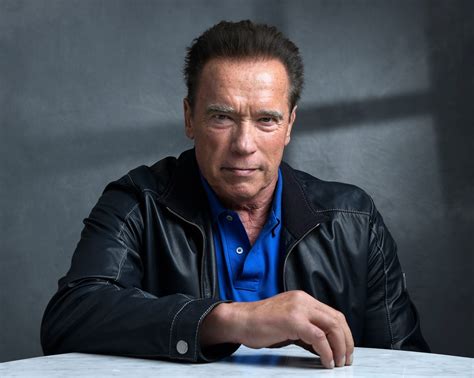 Arnold Schwarzenegger Fine After Multi Car Crash One Woman Injured