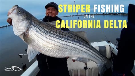Striper Fishing On The California Delta Youtube