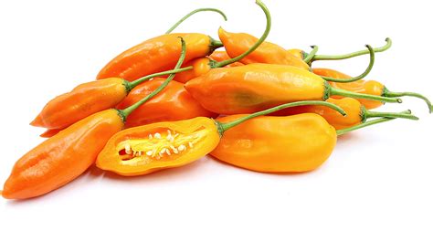 Aji Amarillo Peruano Chile Peppers Information And Facts