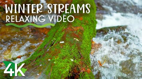 8 Hrs Calming Sounds Of Winter Forest Stream Relaxing Music For