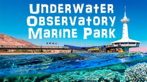 Underwater Observatory Marine Park Eilat Israel Youtube