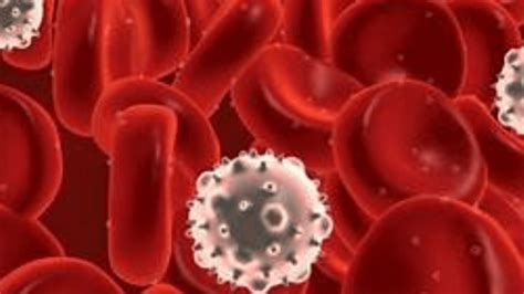 Blood Cancer Symptoms Types Cause Risk Factor Treatment Prevention