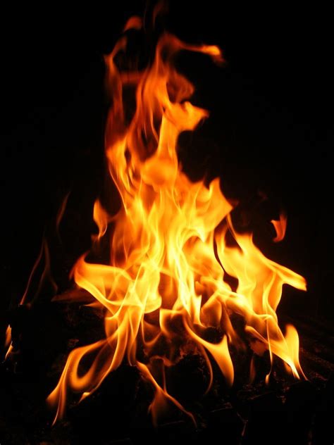 Rasakan pertempuran yang belum pernah ada sebelumnya dengan. Free Fire Flames Stock Photo - FreeImages.com | Fire ...