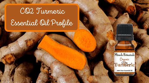 The Bountiful Benefits Of Turmeric Essential Oil Miracle Botanicals