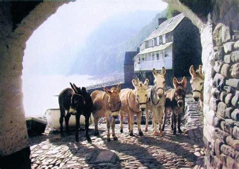 The Donkeys At Clovelly Village In Devon The Road Into The Village Is