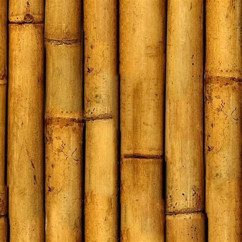 Bamboo Texture Seamless 12274