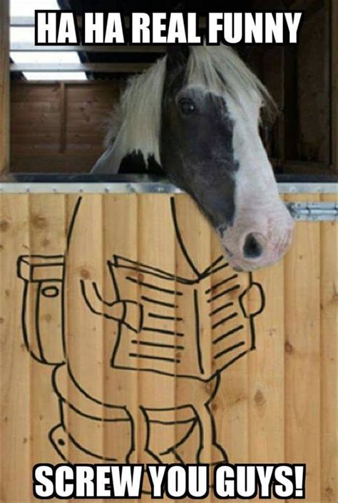 The best gifs are on giphy. 20 Funny Horse Memes For Equine Lovers | SayingImages.com